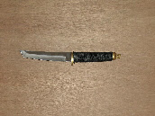 wp37ccb1bf_0f.jpg