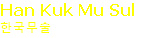Han Kuk Mu Sul 
한국무술